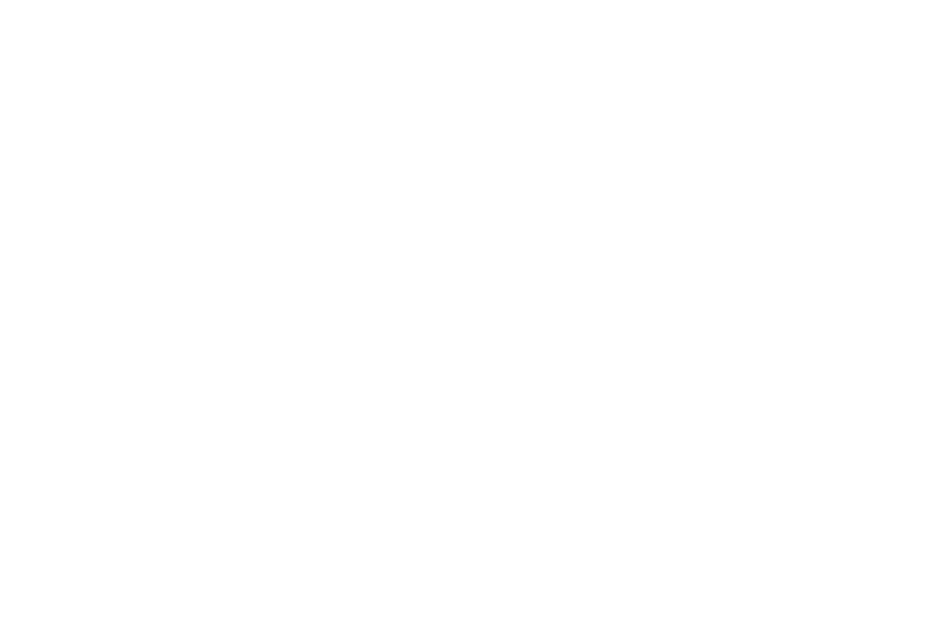 Internet Dog